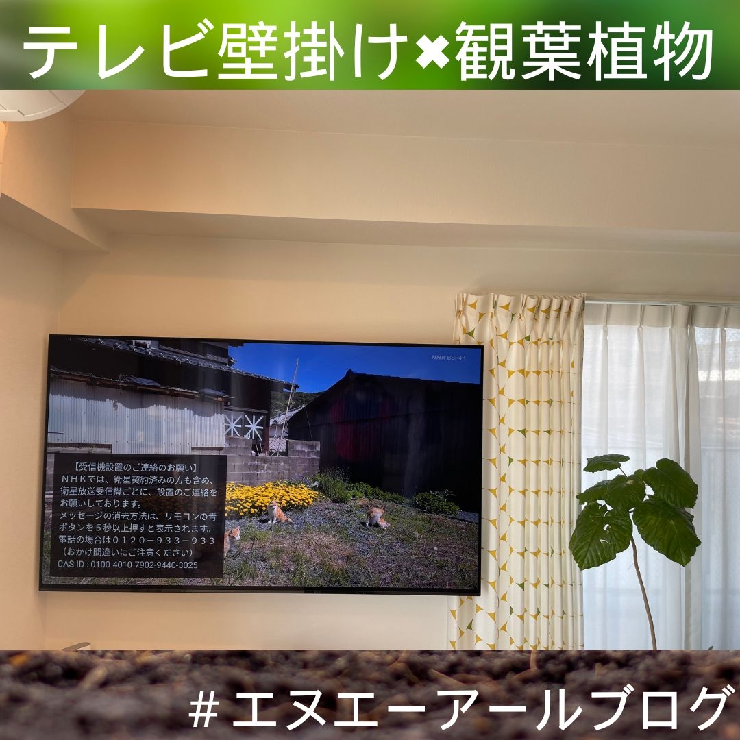 テレビ壁掛けの暮らし (8).jpg