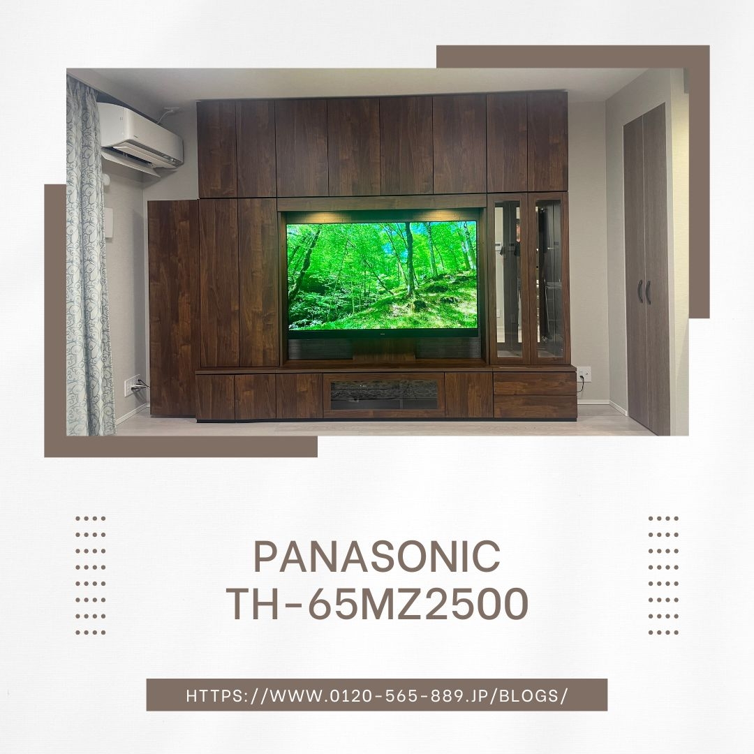Panasonic (3).jpg