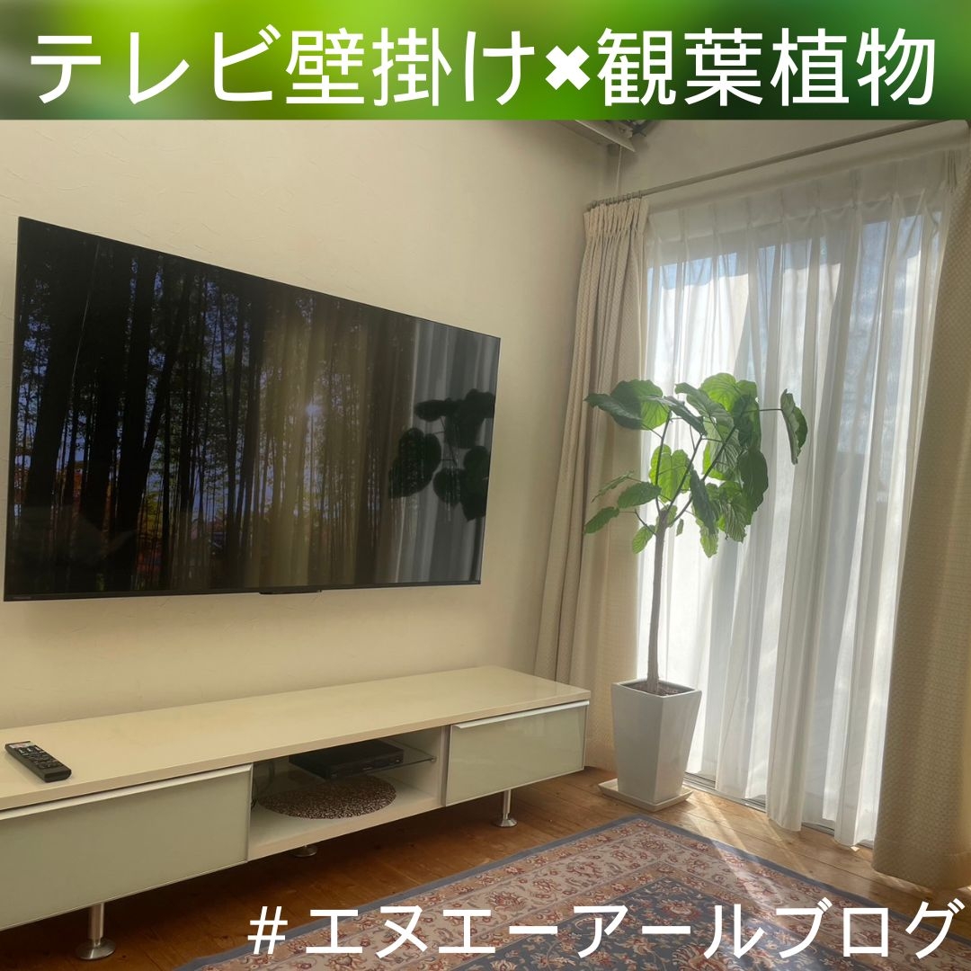 液晶テレビ REGZA(レグザ) 65M550L テレビ壁掛け工事：テレビ壁掛け 